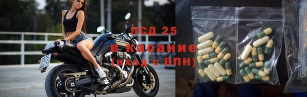 jwh Богородицк
