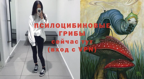 СК Богородск